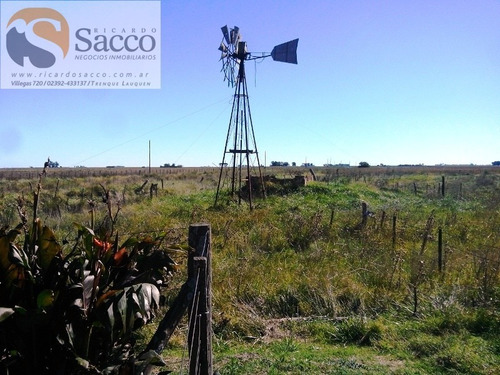 Chacra En Venta En Distrito De #trenquelauquen