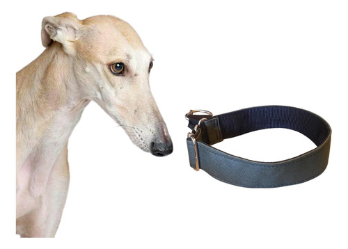 Collar Para Galgos De Semi Ahorque Seguro Y Regulable 