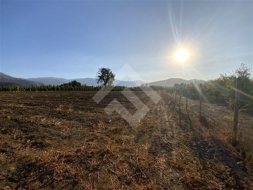 Imagen 11 de 27 de Parcela Agrícola En Venta En Paine
