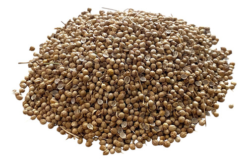 Semilla De Cilantro Para Siembra Hortalizas 1 Kg Sin Tratar