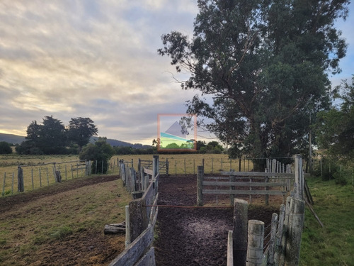 Imagen 7 de 26 de Campo De 34 Hás Con Casa Ruta 12 Pueblo Edén