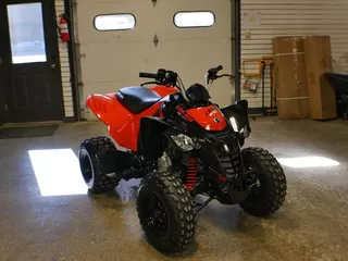 2023 Can-am Ds 250 Atv Machine