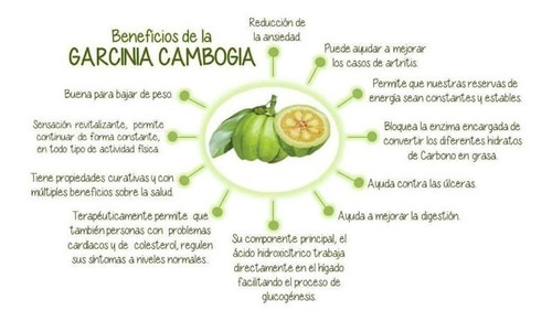 Termogenico Naow