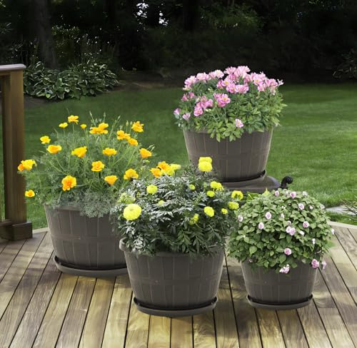Maceta De Plástico Quarut De 10 Pulgadas Para Plantas De Int