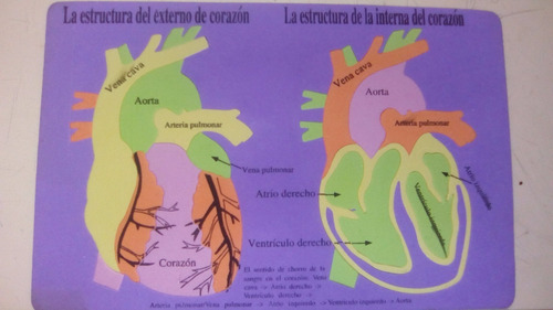 Juego Educativo. Figuras De Foami. Rompecabezas.