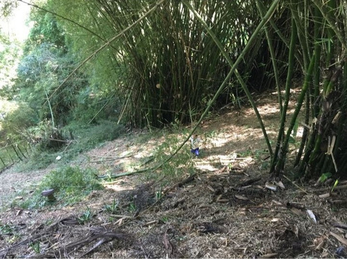 Terreno Disponible Ubicado Urbanización Monte Elena
