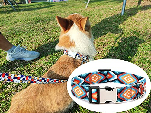Collar De Perro Personalizado, Etiqueta De Identificación C