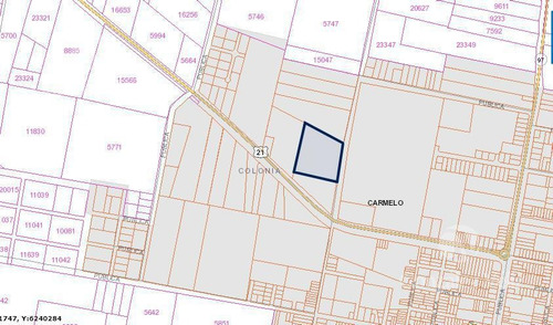 Imagen 1 de 2 de Chacra - Colonia Estrella