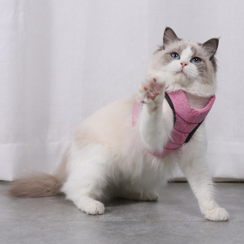 Arnés Para Gatos De Diseño Ligero, Transpirable, A Prueba De