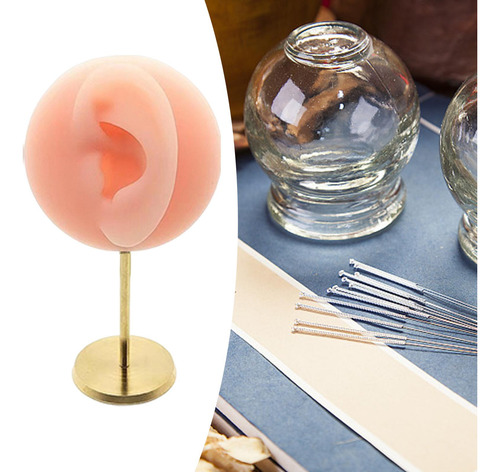 Soporte De Maniquí De Oreja De Rosa Derecha Rosa Derecha