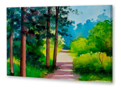 Cuadro 20x30cm Paisajes Acuarela Senda Del Bosque