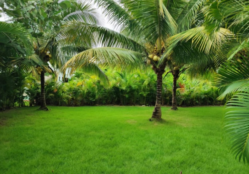 Villa En Venta En Pitch & Putt, Playa Nueva Romana