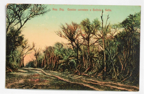 Antigua Postal Camino Carretero A Bolivia Salta Circa 1915