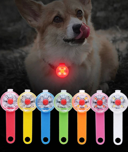 Collar Con Luz Led Carga Usb Perros Gatos