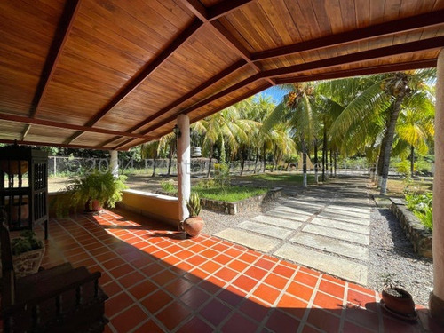 Finca En Venta San Sebastian De Los Reyes Edo Aragua 24-19946 Jja