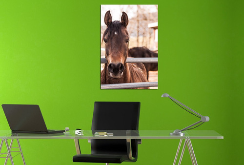 Vinilo Decorativo 60x90cm Caballo Campo Horse Vinil M10