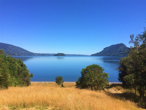 Sitio En Venta En Primera Linea Lago Rupanco