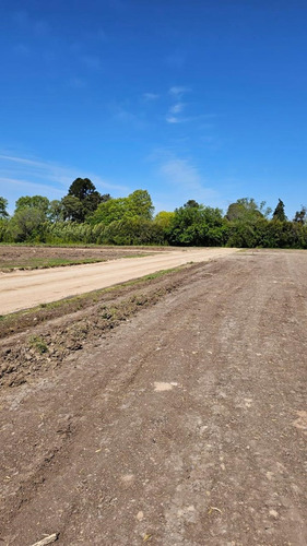 Terreno Lote En Venta En Villa Rosa, Pilar, G.b.a. Zona Norte