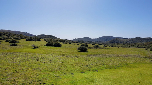 Imagen 7 de 15 de Chacra Campo En Venta, Lavalleja, Aguas Blancas, Fraccionami (ref: Atm-6842)