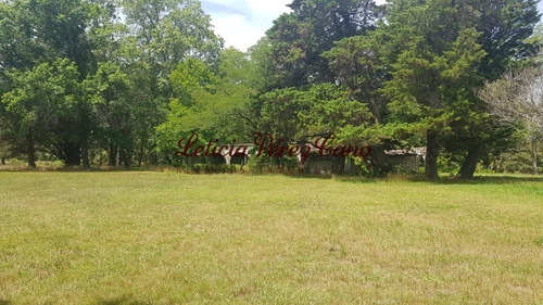 Venta De Chacra En Maldonado, Punta Ballena 5 Has - Ref: 19265