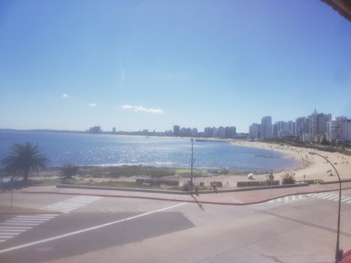 Imagen 11 de 12 de Vendo Apto Frente Al Mar 2 Dorm