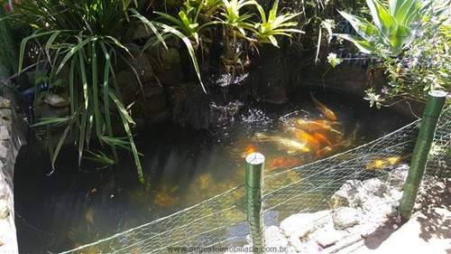 Imagem 15 de 29 de Chácaras À Venda Em Piracaia/sp - Compre O Seu Chácaras Aqui! - 1352610