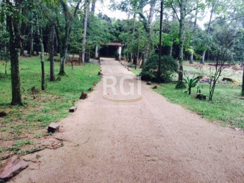 Terreno Em Lami - El50874859