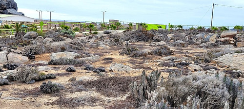 Sitio Frente Al Mar El Arrayán Costero