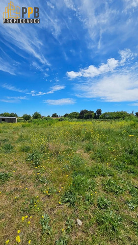 Vendo Dos Parcelas De 5.000m² Con Excelente Ubicación En P
