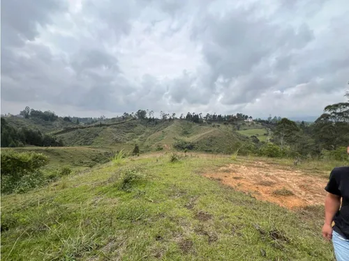 Finca Para Venta Guarne 11 Hectáreas (17 Cuadras) Ch-mm