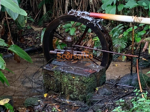 Imagem 19 de 22 de Chácara À Venda, Mendes, São Lourenço Da Serra/sp - 5864