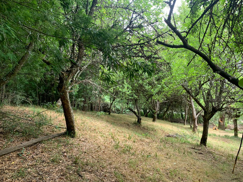 Parcela De 7.500 Mt2 En Sector Puninque
