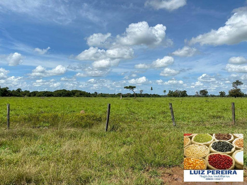 Imagem 9 de 13 de Fazenda A Venda Em Divinópolis - To - De 538 Alqueirões (dupla Aptidão) - 1667