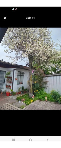 Vendo Propiedad 360 M2 Con 2 Casas En Santa Leonor