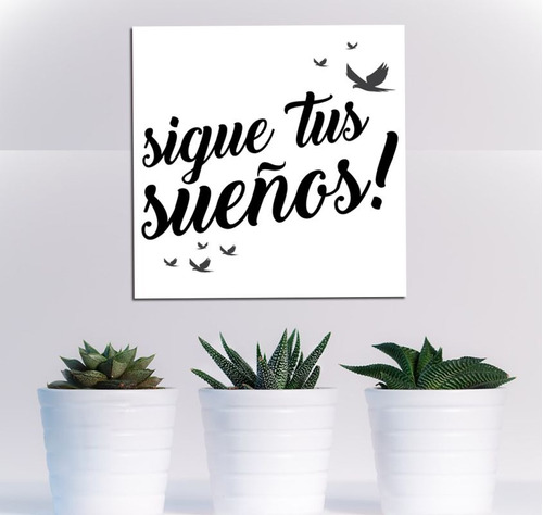 Cuadro 45x45cm Frases Sigue Tus Sueños Ave Pajaros