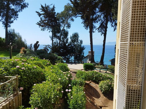 Departamento En Condominio Con Bajada A La Playa En Horcón