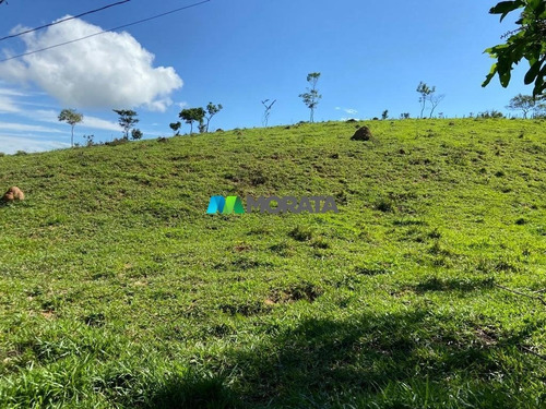 Imagem 13 de 15 de Fazenda - Zona Rural - Ref: 5371 - V-mta5371