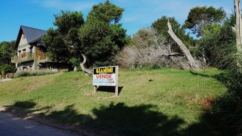 Imagen 3 de 8 de Terreno En Venta En Las Gaviotas