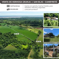 Comprar Vendo 4 Hectáreas Con Granja Y Casa En San Blas Cambyreta 