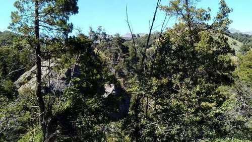Imagen 5 de 28 de Grupo Patagonia Vende 4.2 Hectáreas (todos Los Servicios Instalados Y Costa De Arroyo). Sobre Camino A Valle Escondido -club De Campo-, San Martín De Los Andes, Patagonia Argentina