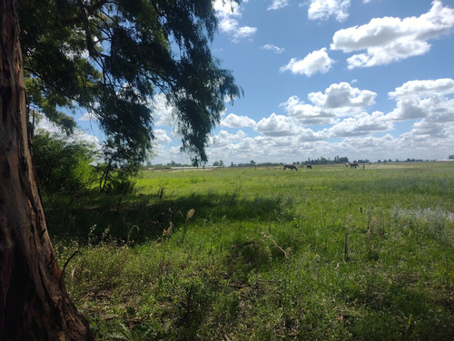 Campo En Venta Sobre Ruta 6, Marcos Paz