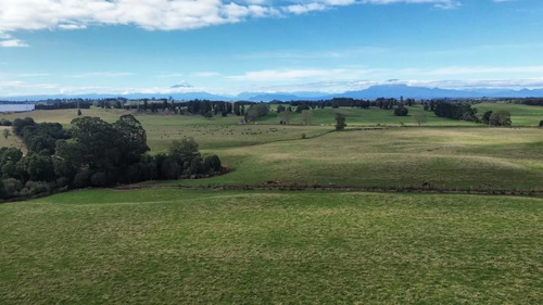 Parcela En Fundo Llanquihue A 10 Minutos De Puerto Varas