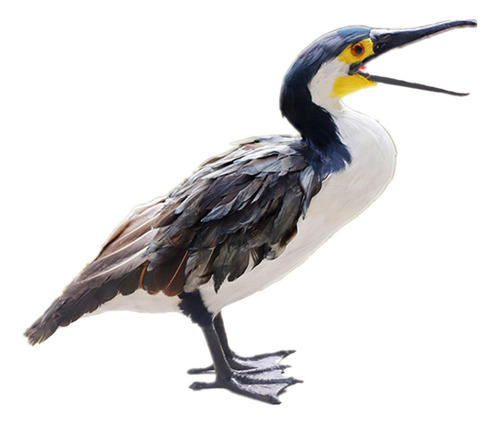 Estátua De Jardim De Penas Artificial Cormorant Artesanato