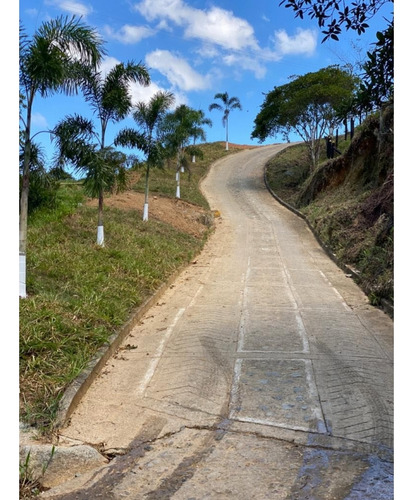 Lotes En Venta En Cisneros - Antioquia