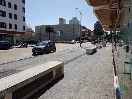 Imagen 16 de 22 de Alquilo O Vendo Local A La Calle En Punta Del Este, Peninsula. - Punta Del Este Peninsula