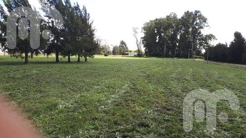 Imagen 2 de 4 de Terreno - La Plata
