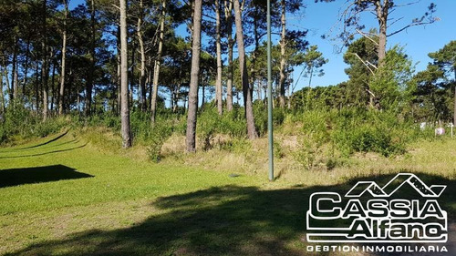 Imagen 3 de 14 de Lote En Pinamar. Venta.