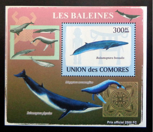 Comores Fauna, Bloque 1 Sello Ballenas 300fc 09 Mint L9322