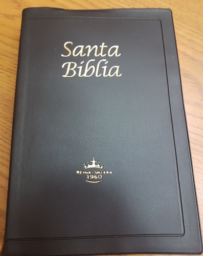 Biblia Reina Valera 1960 Letra Grande, Concordancia, Vinilo
