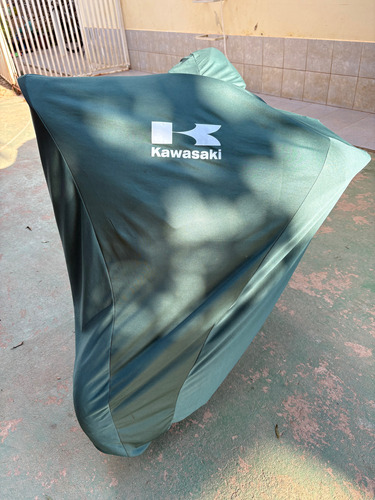 Kawasaki Ninja 300